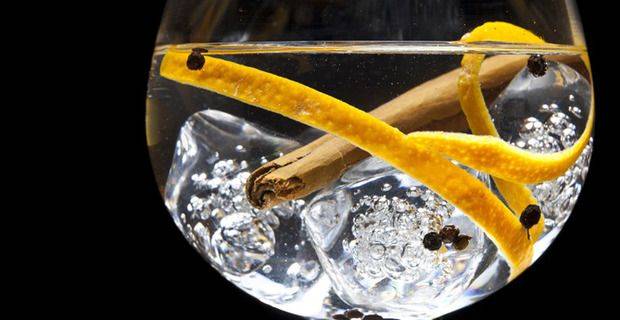 Gin & Tonic with Botanicals Closeup