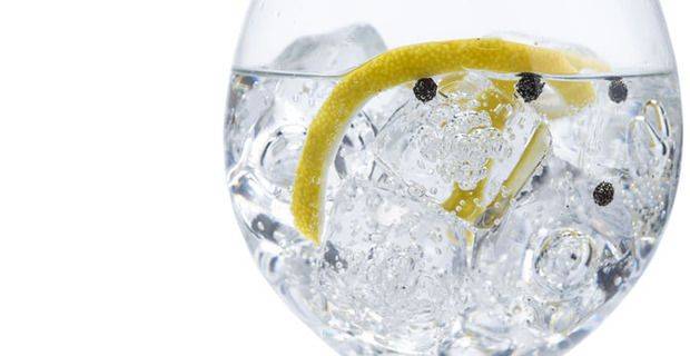 Gin and Tonic Closeup