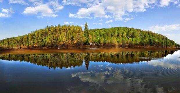 Scotland - Trees Reflected in Loch