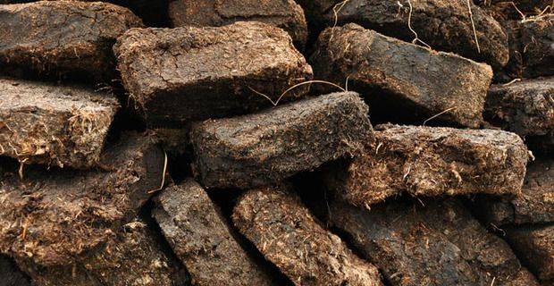 Closeup study of cut peat drying